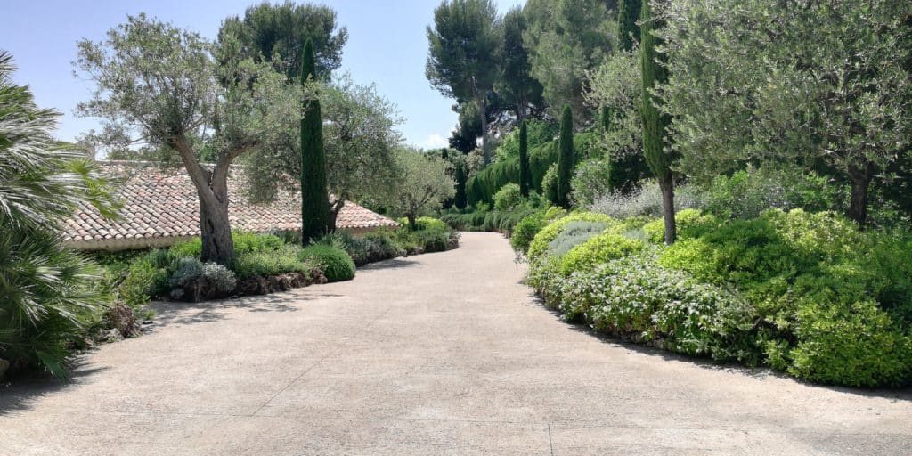 rare species Mediterranean garden